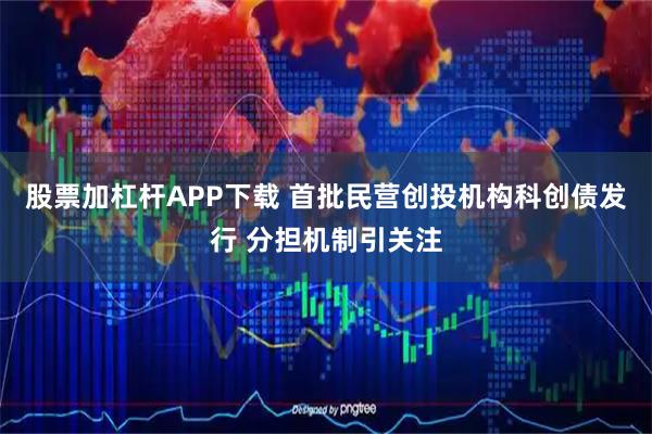 股票加杠杆APP下载 首批民营创投机构科创债发行 分担机制引关注