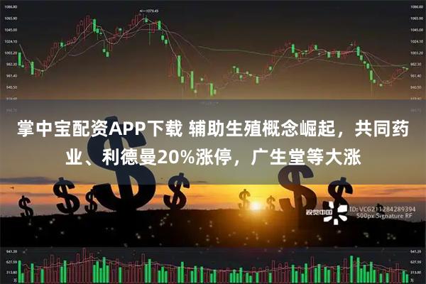 掌中宝配资APP下载 辅助生殖概念崛起，共同药业、利德曼20%涨停，广生堂等大涨