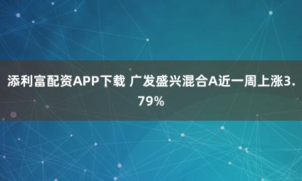 添利富配资APP下载 广发盛兴混合A近一周上涨3.79%